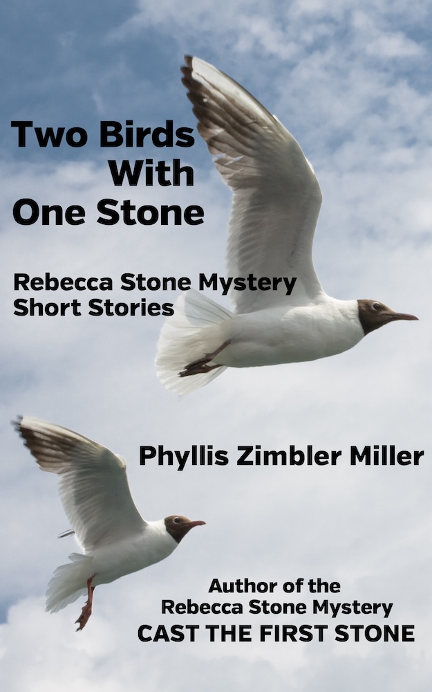 Two Birds with One Stone Book Cover